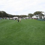 IMG_7656 (Small)