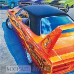 Michael Irvine Art