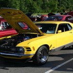 20110506_6117 (Small) 20110506_6117 (Small)