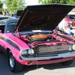 20110506_6125 (Small) 20110506_6125 (Small)