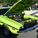 20110506_6126 (Small) 20110506_6126 (Small)