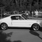 20110506_6154 (Small) 20110506_6154 (Small)