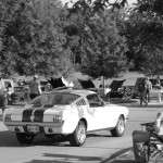 20110506_6155 (Small) 20110506_6155 (Small)