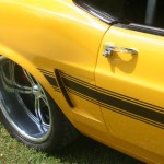 20110520_6409 (Small) 20110520_6409 (Small)