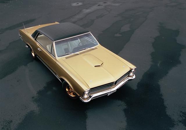 Gold GTO 65
